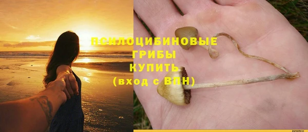 spice Алексин
