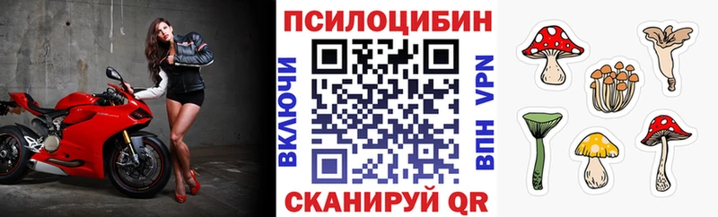 OMG зеркало  Карабаш  Галлюциногенные грибы Psilocybine cubensis  где купить наркоту 